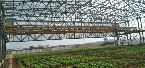 智能起重機(jī)的工作原理及應(yīng)用特點