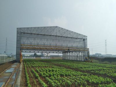 智能起重機為何越來越受到企業(yè)的青睞？